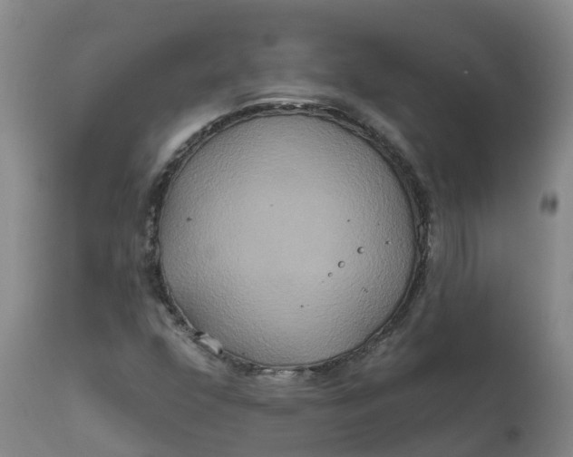 X0000111821352200908131513