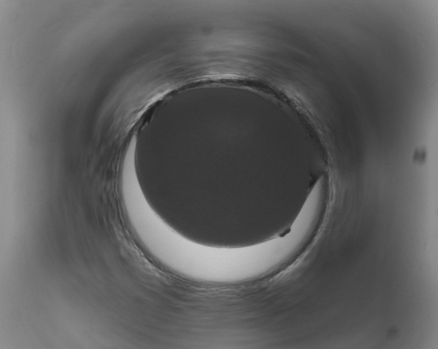 X0000111821353200908131513