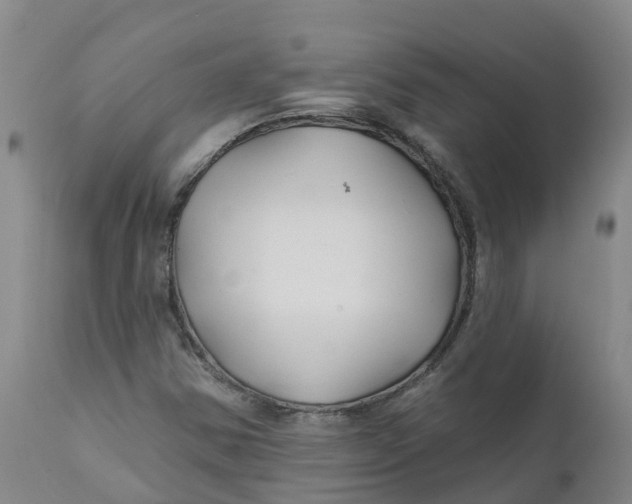 X0000111821354200908131513