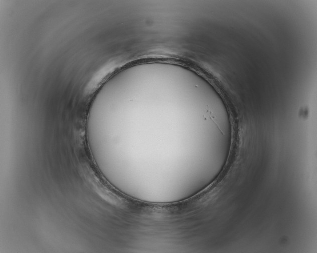 X0000111821355200908131513