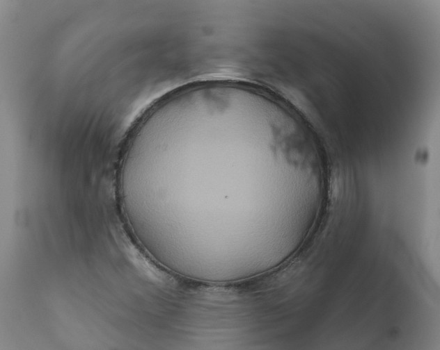 X0000111821356200908131513