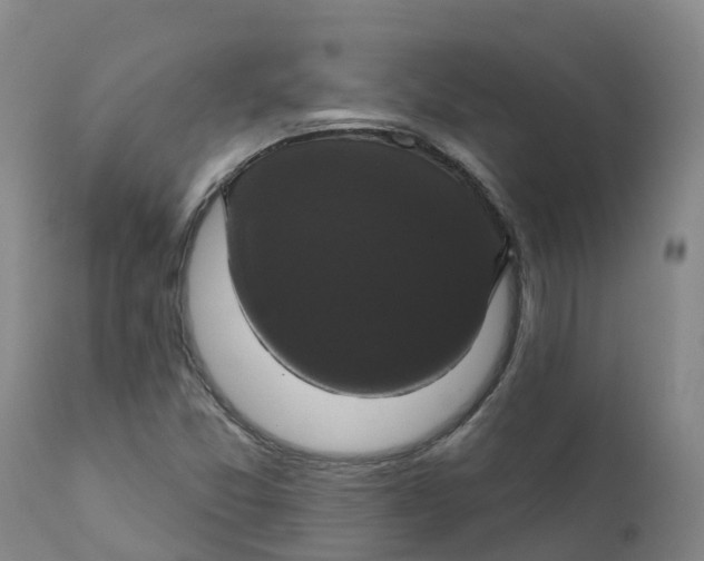 X0000111821357200908131513