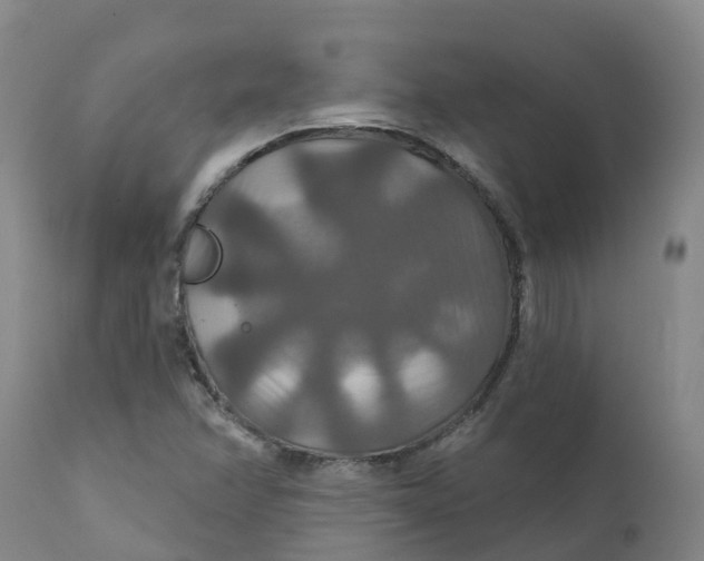 X0000111821358200908131513