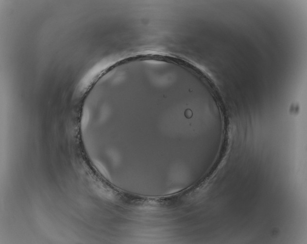 X0000111821359200908131513