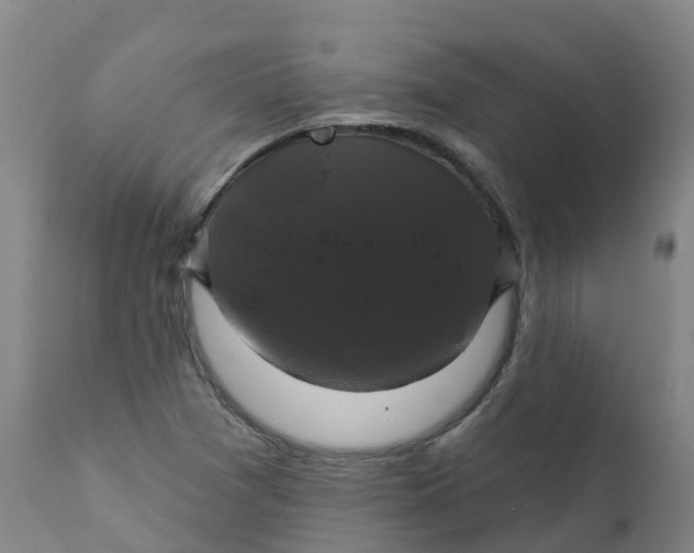 X0000111821361200908131513