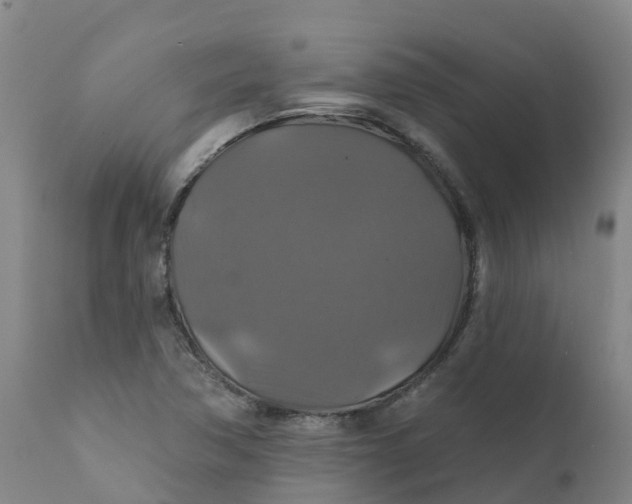 X0000111821362200908131513