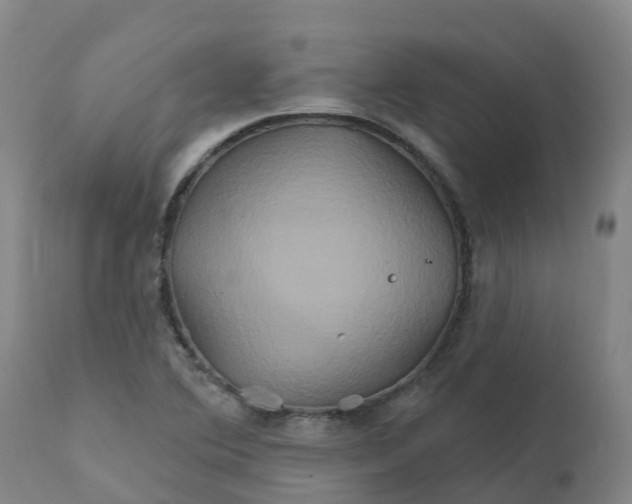 X0000111821364200908131513