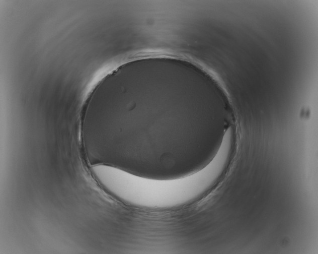 X0000111821365200908131513