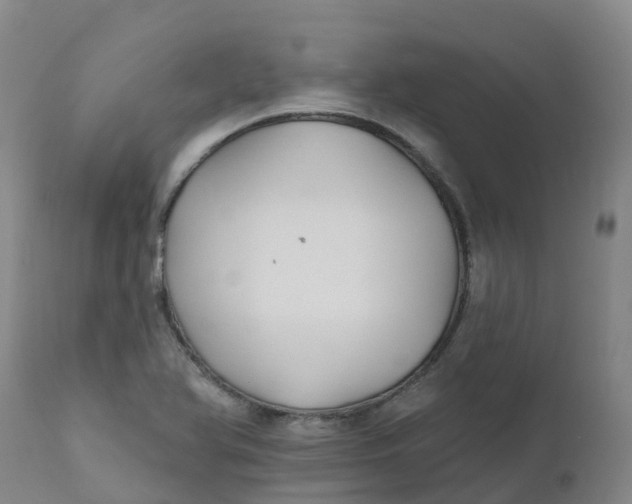 X0000111821366200908131513