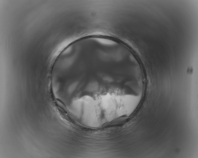 X0000111821367200908131513