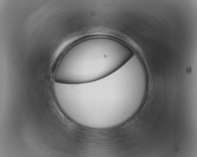 X0000111821368200908131513