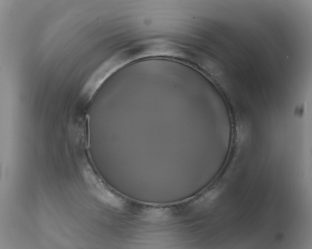 X0000111821369200908131513