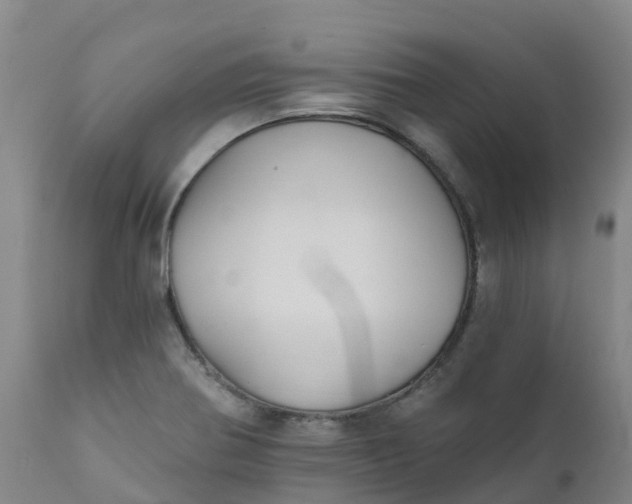 X0000111821370200908131513