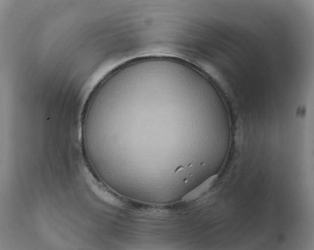 X0000111821372200908131513