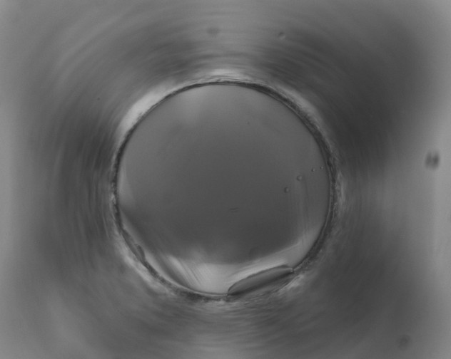 X0000111821373200908131513