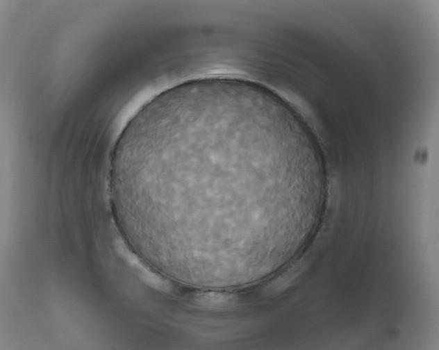 X0000111821374200908131513