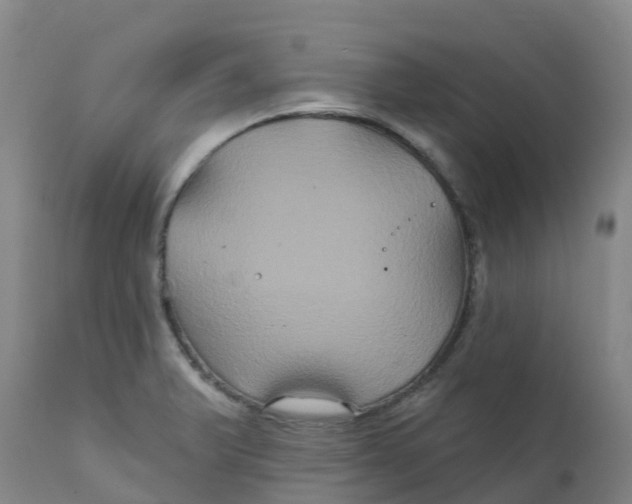 X0000111821375200908131513