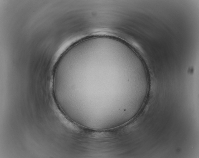 X0000111821376200908131512