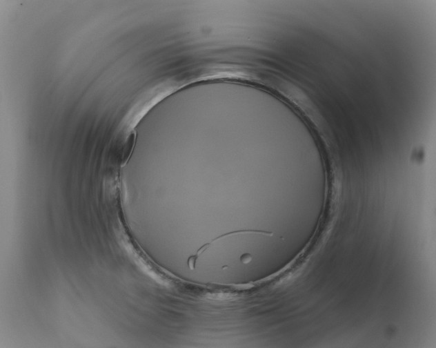 X0000111821377200908131512