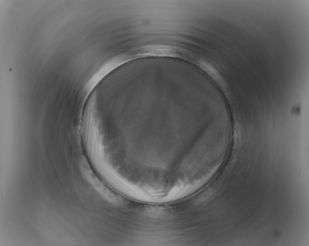 X0000111821378200908131512