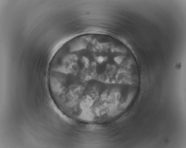 X0000111821379200908131512