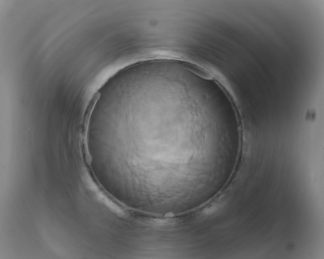 X0000111821381200908131512