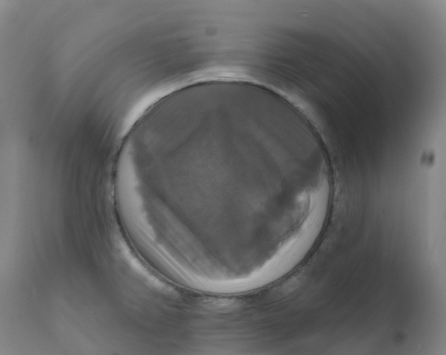 X0000111821382200908131512