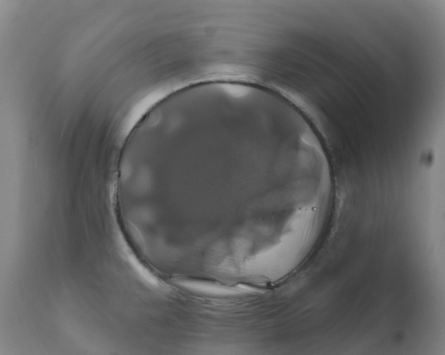 X0000111821383200908131512