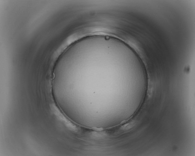 X0000111821384200908131512