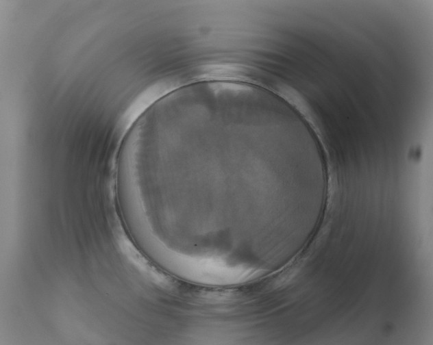 X0000111821386200908131512