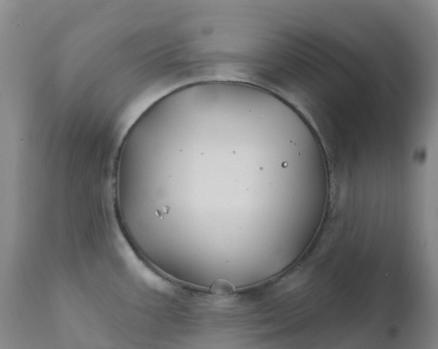 X0000111821387200908131512