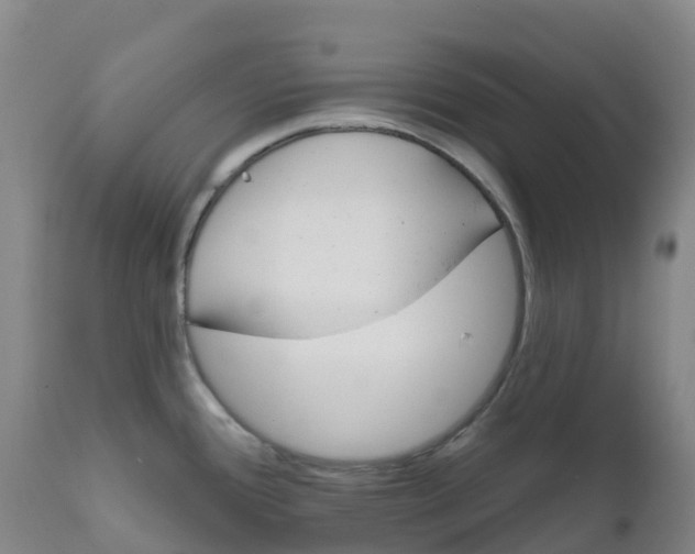 X0000111821388200908131512