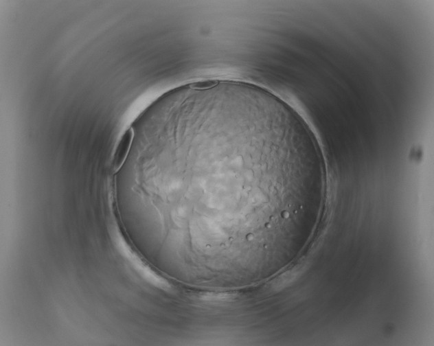 X0000111821389200908131512