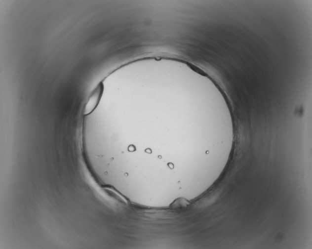 X0000111821391200908131512