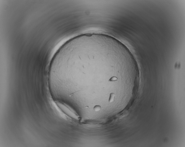 X0000111821392200908131512