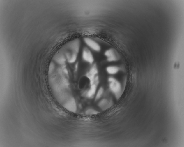 X0000111821393200908131511