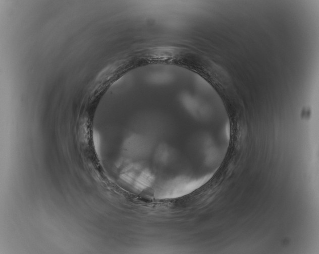 X0000111821394200908131511