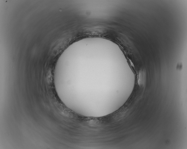 X0000111821395200908131511