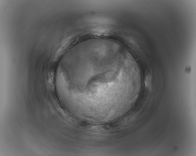 X0000111821396200908131511