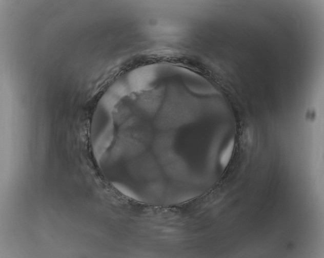 X0000111821397200908131511