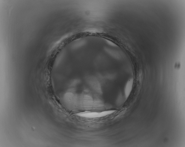 X0000111821398200908131511