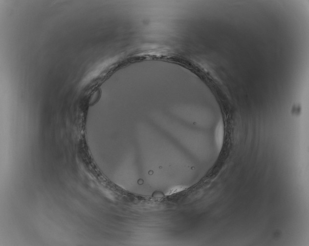 X0000111821399200908131511