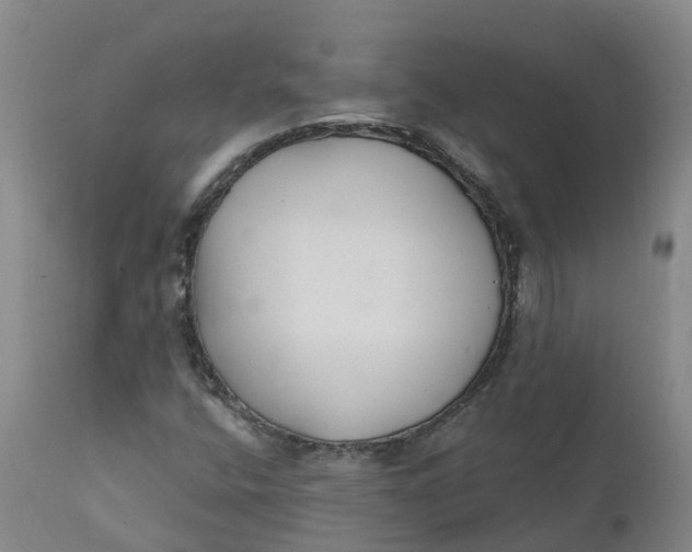 X0000111821400200908131511