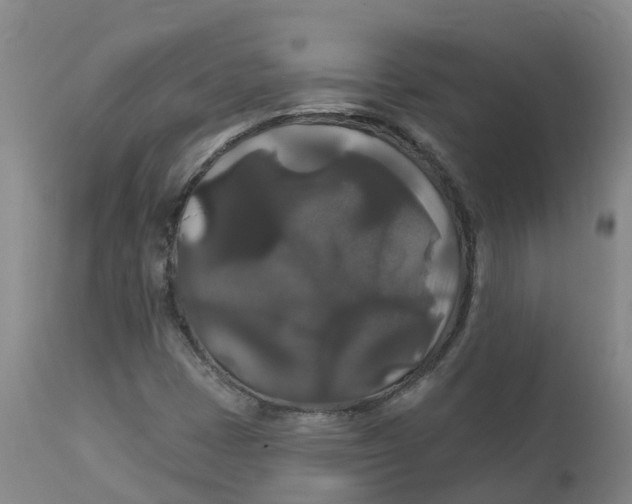 X0000111821401200908131511