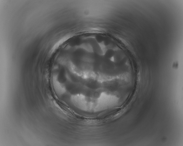 X0000111821402200908131511