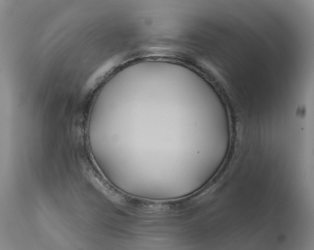 X0000111821403200908131511