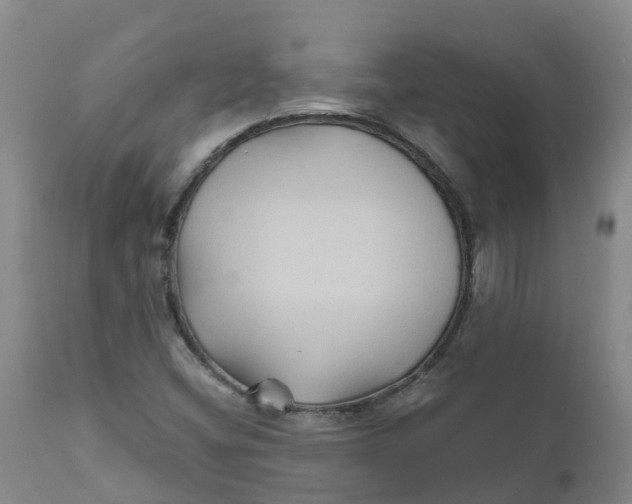 X0000111821404200908131511