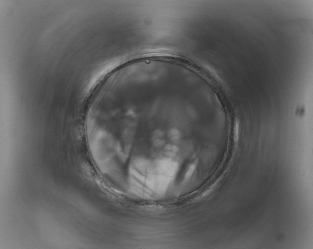 X0000111821405200908131511