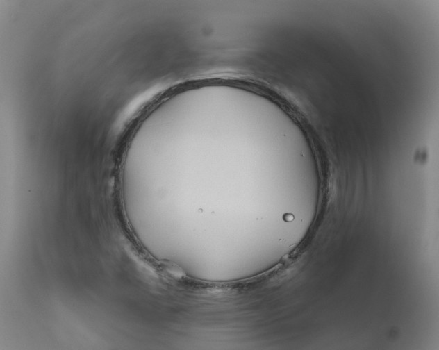 X0000111821406200908131511