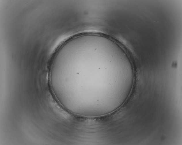 X0000111821408200908131511